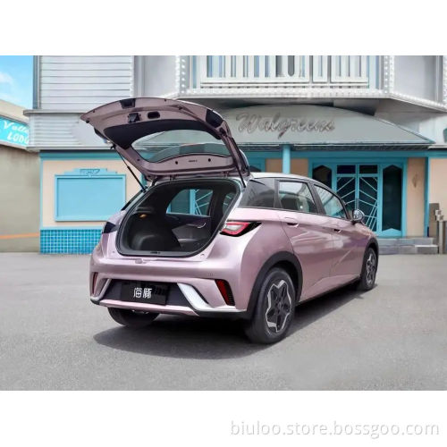 Byd Dolphin Electric Car 2023 Fashion Edition 420KM Ev Car Cost-Effective Compact Electric Vehicle